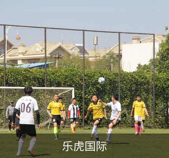 乐虎国际概况
